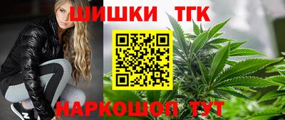 спиды Моздок