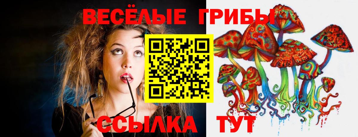 Галлюциногенные грибы мицелий  Вход с VPN  Псилоцибиновые грибы GOLDEN TEACHER  купить   Киржач 